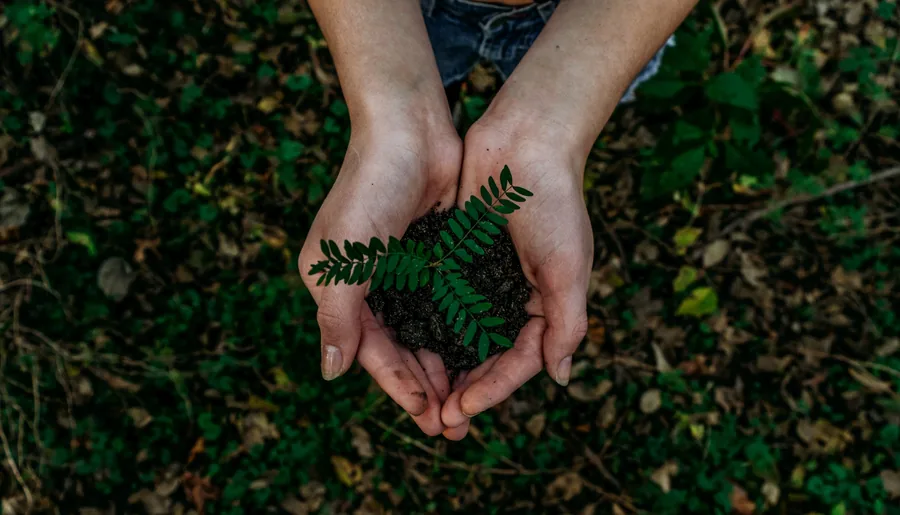 Sustainable picture